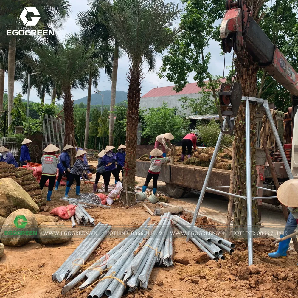 Nguyên vật liệu xây dựng được chuẩn bị đầy đủ và đưa vào vị trí thi công.